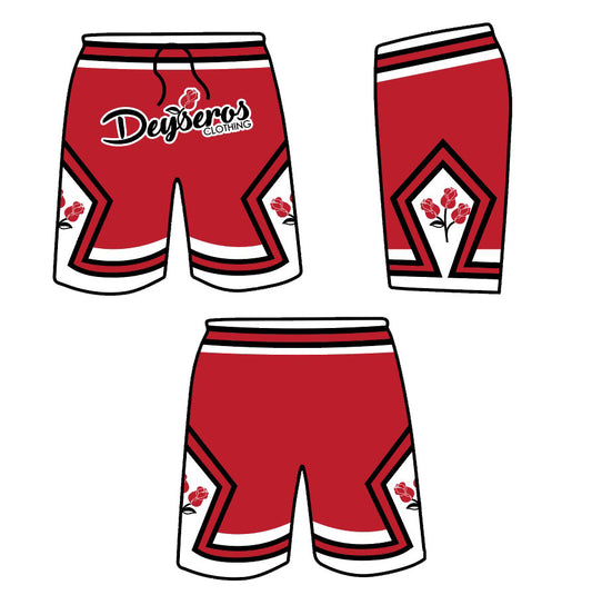 “Chicag-rose” High- Rise Shorts